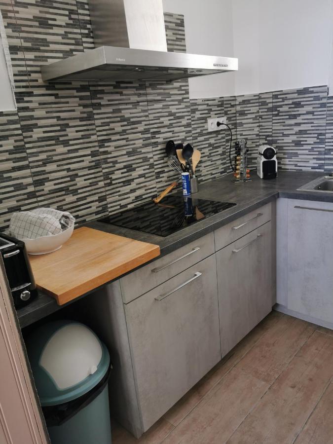 Spacieux Appartement Front De Mer Сент-Марі-де-ла-Мер Екстер'єр фото